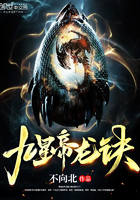 九星之主小说
